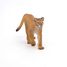 Figurine Puma PA50189 Papo 5
