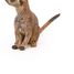 Figurine Suricate assis PA50207 Papo 3