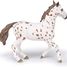 Figurine Jument appaloosa PA51509-2918 Papo 6