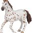 Figurine Jument appaloosa PA51509-2918 Papo 7