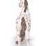 Figurine Jument appaloosa PA51509-2918 Papo 5