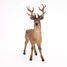 Figurine Cerf PA53008-2929 Papo 7