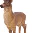 Figurine Cerf PA53008-2929 Papo 2