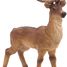 Figurine Cerf PA53008-2929 Papo 1