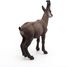 Figurine Chamois PA53017-4540 Papo 6