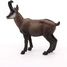 Figurine Chamois PA53017-4540 Papo 3