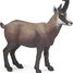 Figurine Chamois PA53017-4540 Papo 1