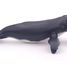 Figurine Baleine à bosse PA56001-2933 Papo 2