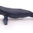 Figurine Baleine à bosse PA56001-2933 Papo 5
