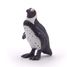 Figurine Manchot du Cap PA56017 Papo 5