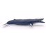 Baleine bleue PA56037 Papo 2