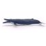 Baleine bleue PA56037 Papo 6