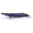 Baleine bleue PA56037 Papo 4