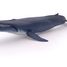 Baleine bleue PA56037 Papo 1