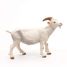 Figurine Chèvre blanche à cornes PA51144-2947 Papo 5