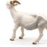 Figurine Chèvre blanche à cornes PA51144-2947 Papo 7