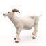 Figurine Chèvre blanche à cornes PA51144-2947 Papo 3