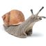 Figurine Escargot PA-50262 Papo 4