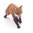 Figurine Renard 53020-3625 Papo 7