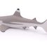 Figurine Requin à pointes noires PA56034 Papo 6