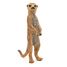 Figurine Suricate debout PA50206 Papo 6