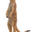 Figurine Suricate debout PA50206 Papo 5