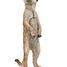 Figurine Suricate debout PA50206 Papo 6