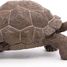 Figurine Tortue des galapagos PA50161-3929 Papo 7