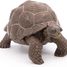 Figurine Tortue des galapagos PA50161-3929 Papo 6