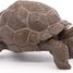 Figurine Tortue des galapagos PA50161-3929 Papo 4