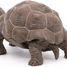 Figurine Tortue des galapagos PA50161-3929 Papo 3