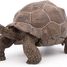 Figurine Tortue des galapagos PA50161-3929 Papo 1