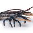 Figurine Homard PA-56052 Papo 1