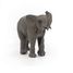 Figurine Jeune éléphant PA50225 Papo 8