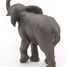 Figurine Jeune éléphant PA50225 Papo 7
