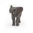Figurine Jeune éléphant PA50225 Papo 4