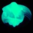 Pâte intelligente Ion Fluo PI-ION FLUO Pâte intelligente 3
