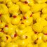 Bouteille sensorielle Move Canard PB85771 Petit Boum 4