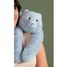 Peluche chat bleu lesté 50 cm HO3480 Histoire d'Ours 2