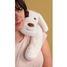Peluche chien lesté 50 cm HO3479 Histoire d'Ours 4