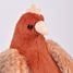 Peluche poule et ses œufs d'or 28 cm HO3447 Histoire d'Ours 2