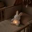 Peluche respirante Lapin DC4685 Doudou et Compagnie 5