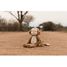 Peluche Singe Safari Friends LD8350 Little Dutch 11