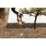 Peluche Singe XL Safari Friends LD8351 Little Dutch 10