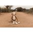 Peluche Singe XL Safari Friends LD8351 Little Dutch 12