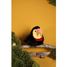 Peluche oiseau Toucan 15 cm HO3443 Histoire d'Ours 5