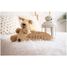 Plaque décorative personnalisable - Etoiles VI-PL47 Vintiun 3