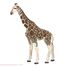 Figurine Girafe PA50096-2914 Papo 2