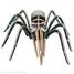 Araignée Mygale 3D DAM002-2614 Bones & More 3