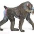 Figurine Mandrill PA50121-2925 Papo 2